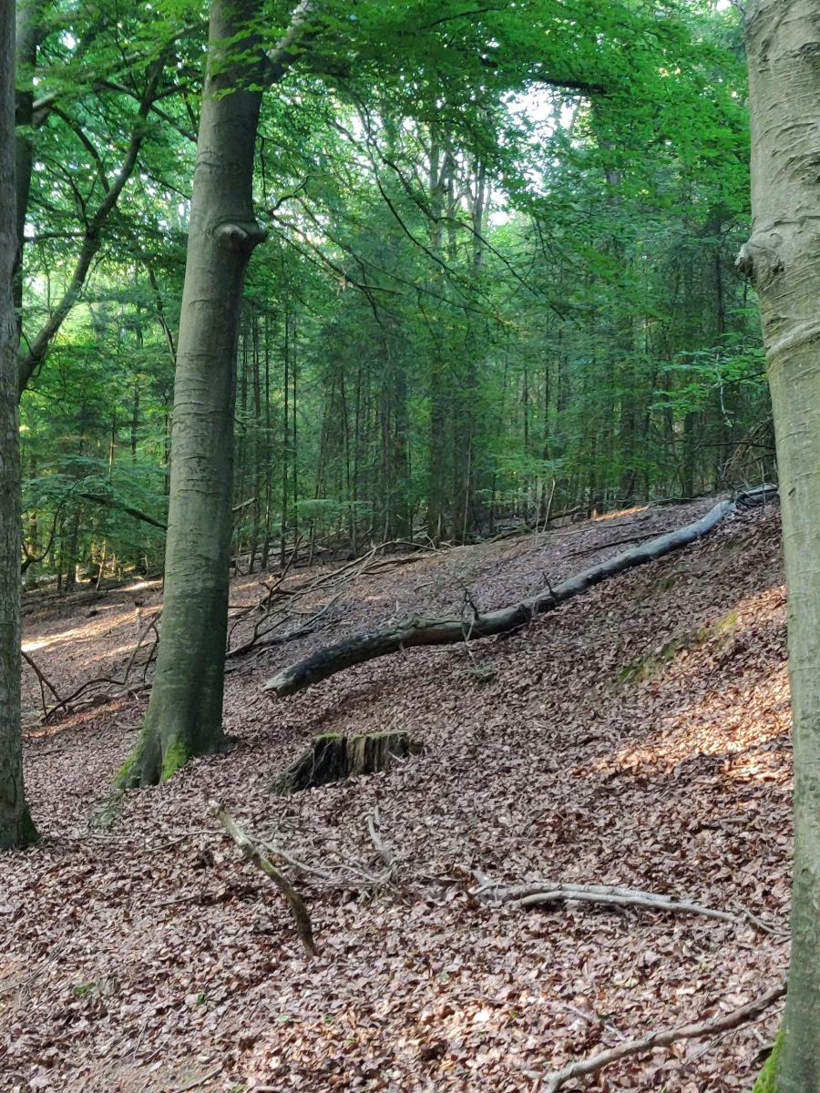 Omgeving 1
