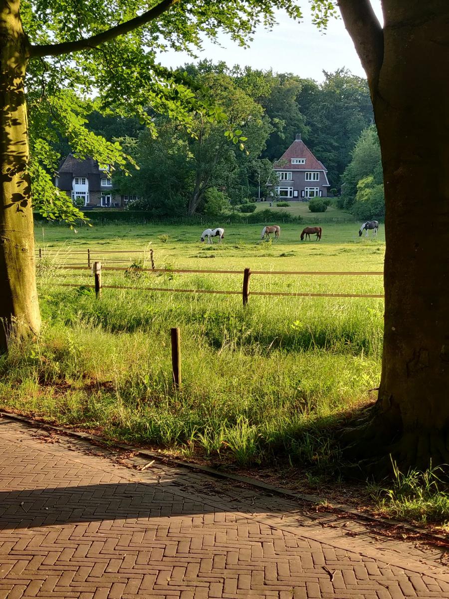 Omgeving 2